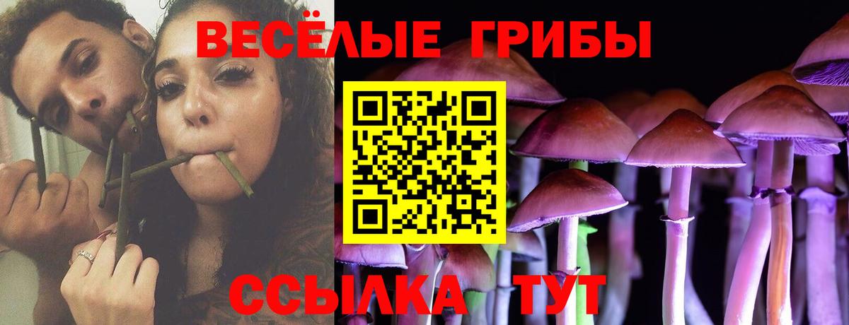 Кстово  Псилоцибиновые грибы Magic Shrooms  Вход с VPN 